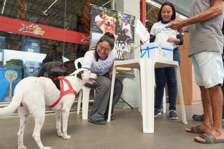 Prefeitura de Manaus retoma oferta de vacina antirrábica em 10 supermercados na capital