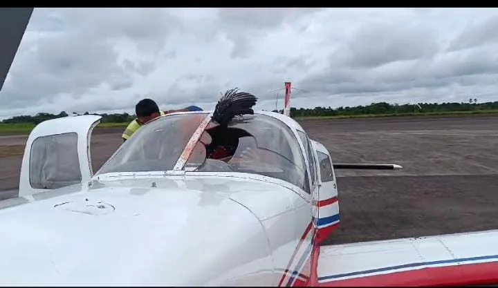 Vídeo: Urubu colide com avião e quase causa tragédia no Amazonas