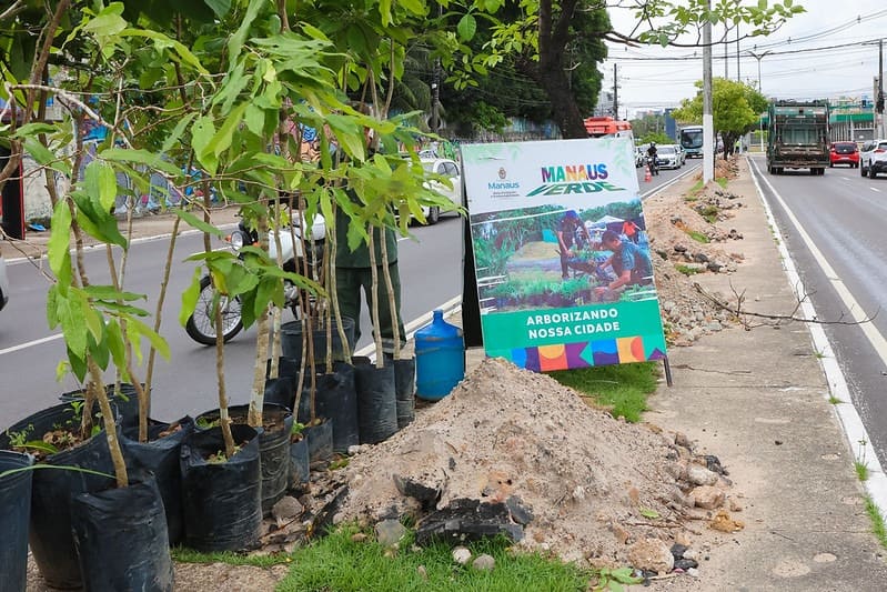 Prefeitura anuncia plantio de 15 mil mudas em 2025 como parte do Plano de Arborização de Manaus