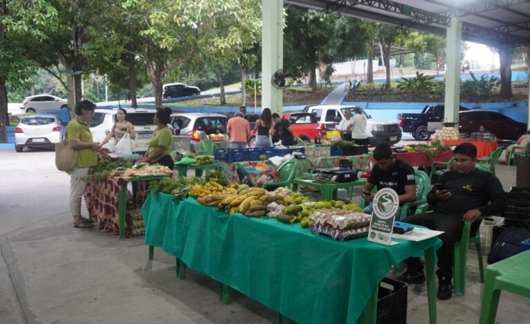 Feira de alimentos agroecológicos da REMA anuncia mudança de local