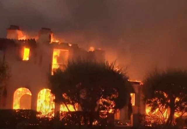 Incêndio florestal devasta mansões de famosos em Los Angeles