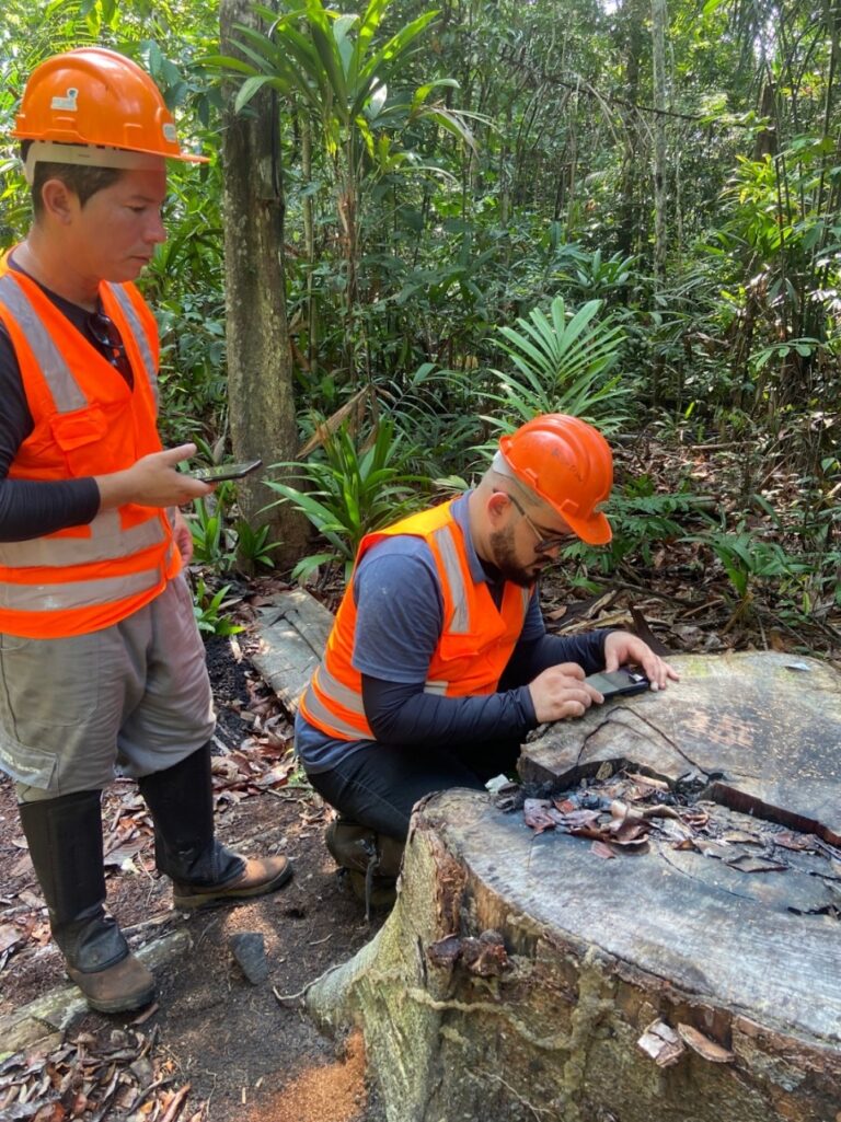 Com apoio do Governo do Amazonas, projeto usa aplicativo para identificar e agilizar fiscalizações de madeiras da Amazônia