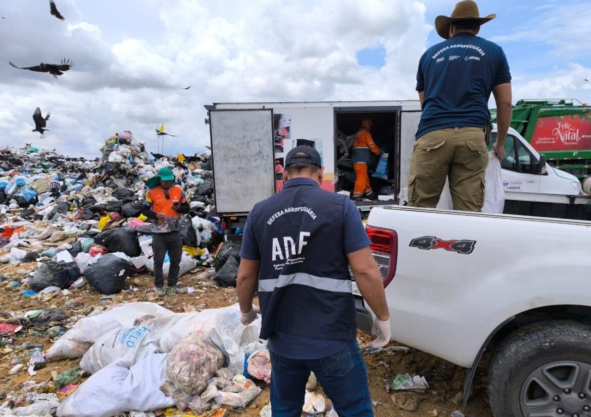 Adaf apreende 400 quilos de carne oriunda de abate ilegal em açougue clandestino