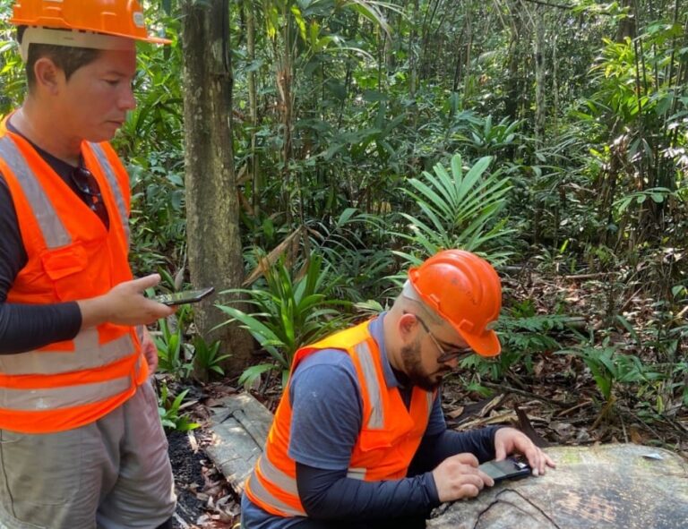 Projeto usa aplicativo para identificar e agilizar fiscalizações de madeiras da Amazônia