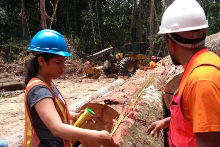 Ipaam anuncia Período de Defeso Florestal no Amazonas