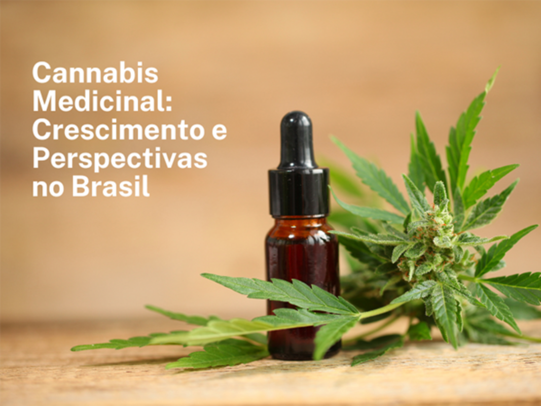 Cannabis medicinal demonstra crescimento otimista no Brasil