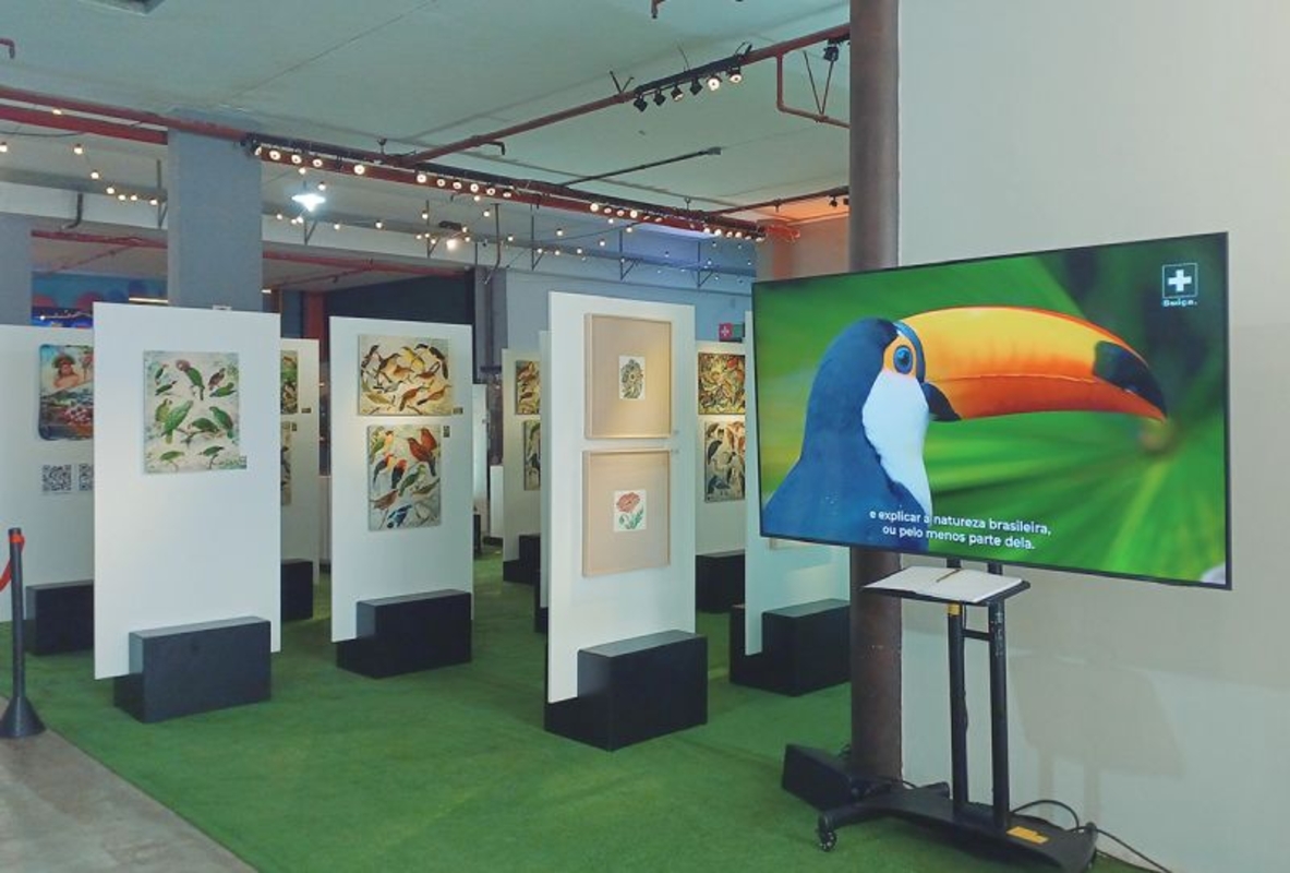 Exposição O Legado Suíço Brasileiro na Amazônia está em Nova Friburgo–RJ