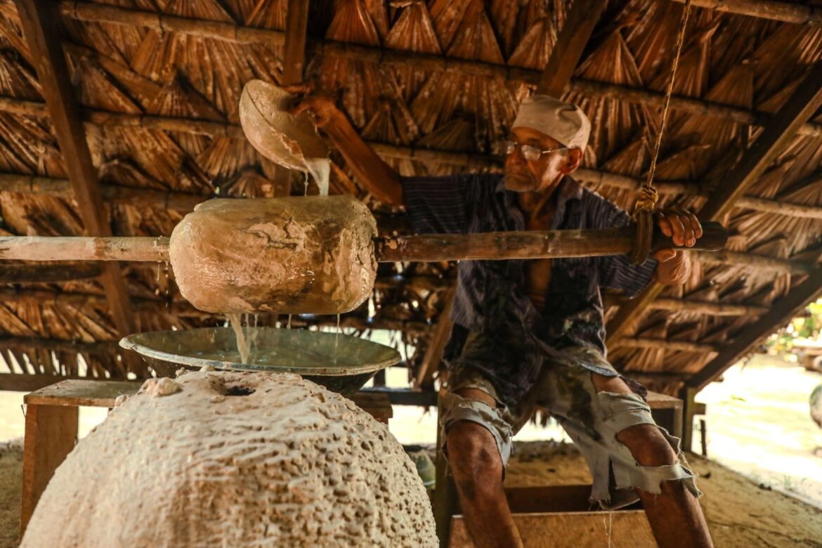 Museu do Seringal retoma atividades e reabre para visitação na quinta-feira