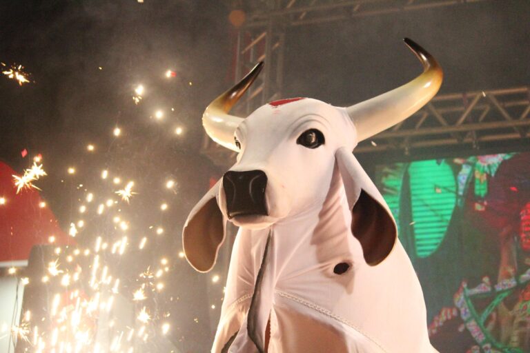 Primeira Sexta Cultural do Boi Garantido marca início da temporada bovina em Parintins