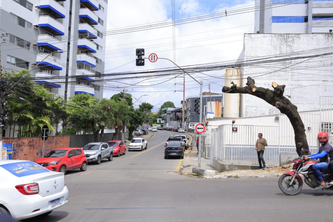 Novo semáforo na avenida Umberto Calderaro Filho garante mais segurança e fluidez no trânsito