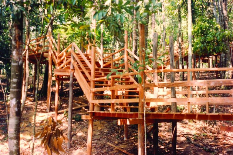 Bosque da Ciência do Inpa celebra 30 anos de educação e popularização da Ciência em Manaus