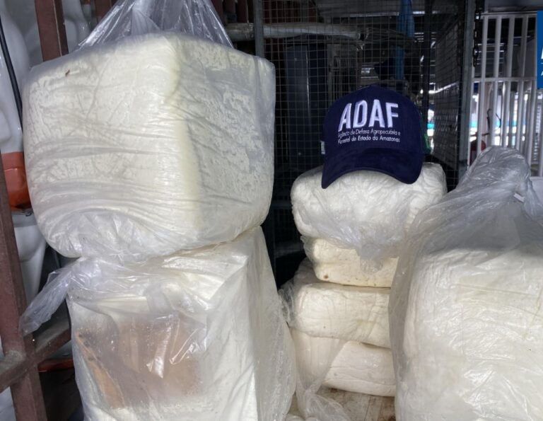 Adaf apreende 85 quilos de queijo clandestino em Tefé