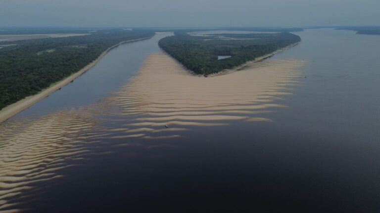 Novo Airão representa o Amazonas em uma das maiores feiras de turismo da Europa