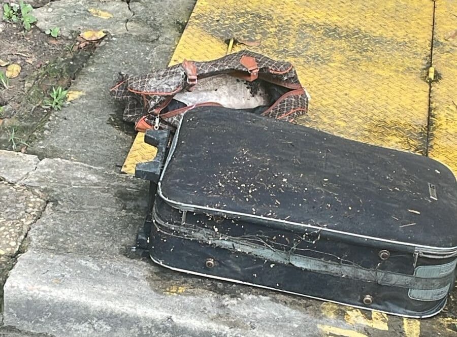 Corpo esqu@rt3jado é encontrado dentro de mala em igarapé de Manaus