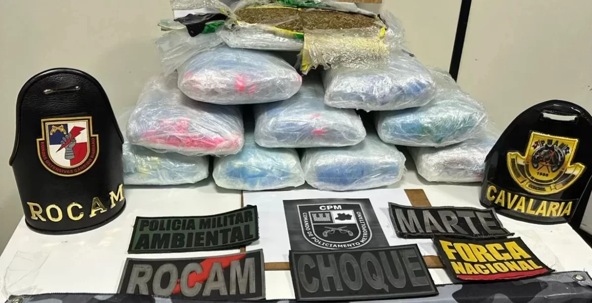 Operação policial apreende 10 kg de drogas escondidas em caixa de isopor com açaí no Amazonas