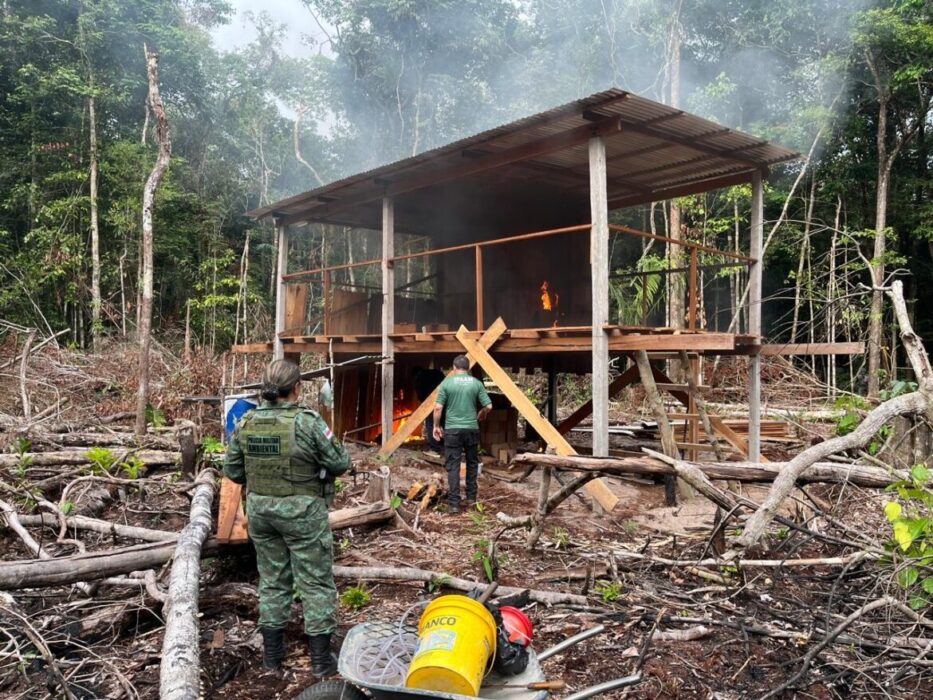 Ipaam e Batalhão Ambiental embargam três indústrias de cerâmicas ilegais na Rodovia AM-070
