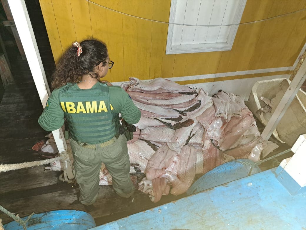 Ibama intensifica combate à pesca ilegal na RDS Piagaçu-Purus