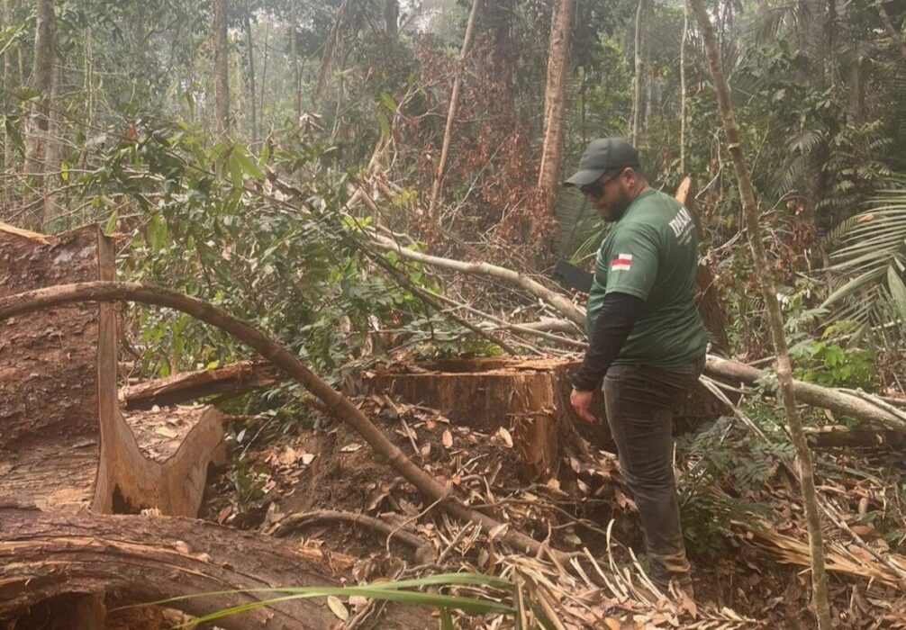 Período do Defeso Florestal chega ao fim nesta quinta-feira no Amazonas