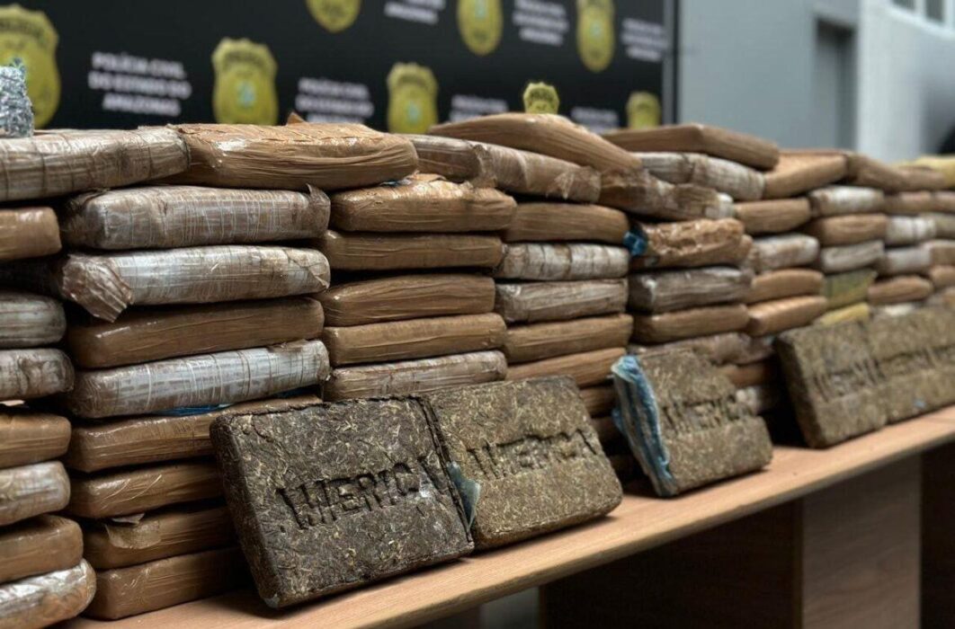 PC-AM apreende 150 quilos maconha tipo skunk em uma casa na comunidade Grande Vitória