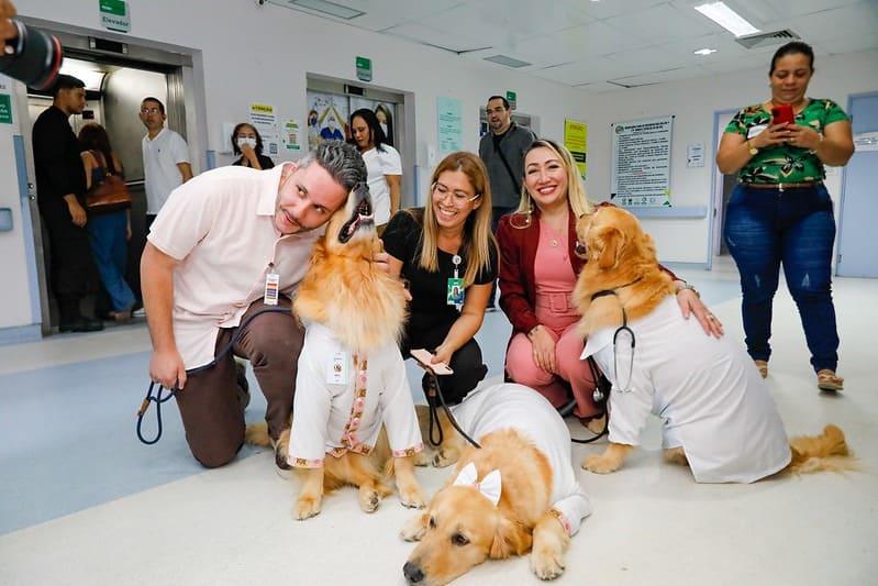 Cães terapeutas levam alegria e contribuem para a recuperação de pacientes no Complexo Hospitalar Sul