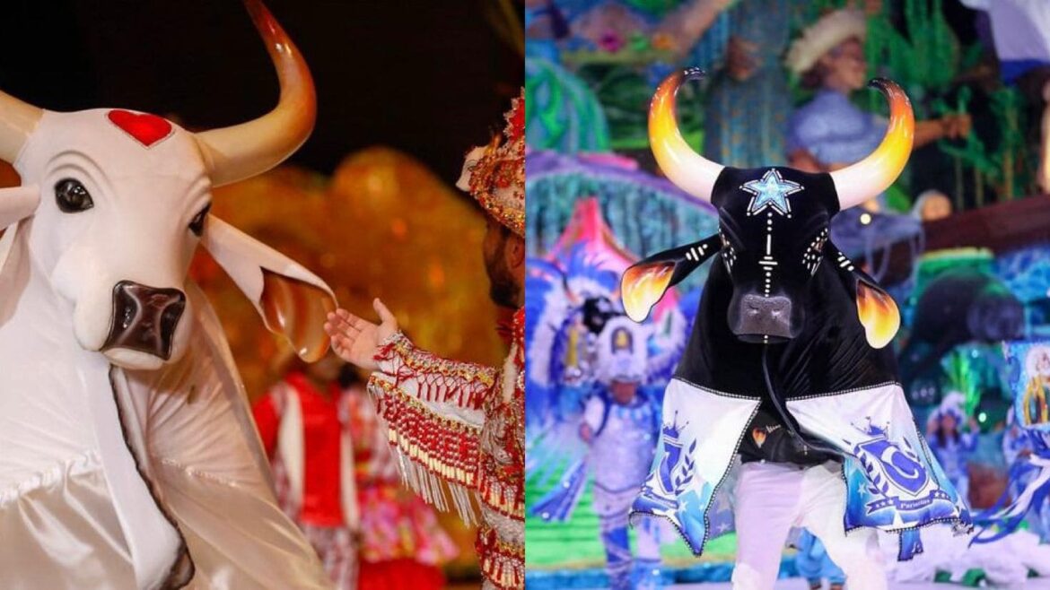 Festival de Parintins 2025: Governo do Amazonas realiza repasse de R$ 10 milhões aos bumbás Caprichoso e Garantido