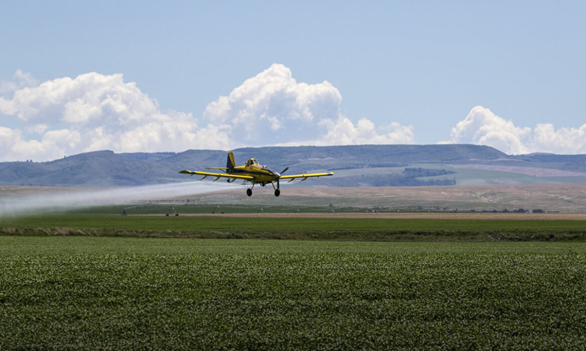 Empresa participa da Bahia Farm Show 2025