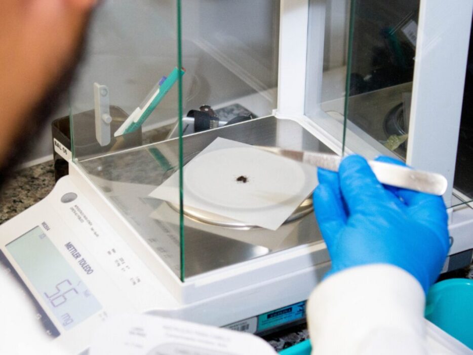 Câmara aprova exame toxicológico para primeira habilitação