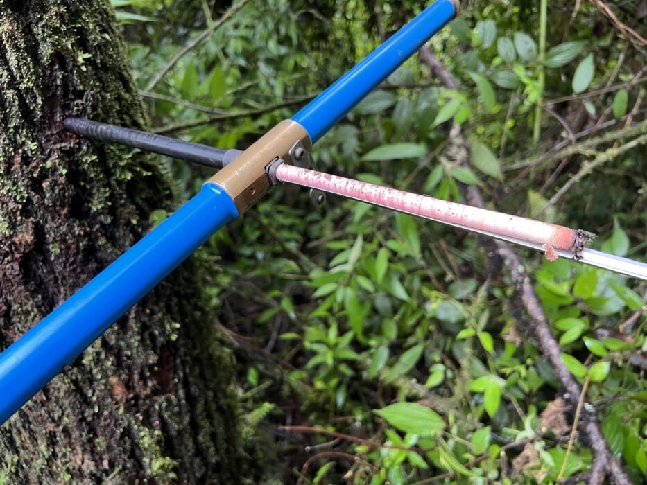 Anéis de crescimento de árvores revelam mudanças extremas na sazonalidade de chuvas na Amazônia