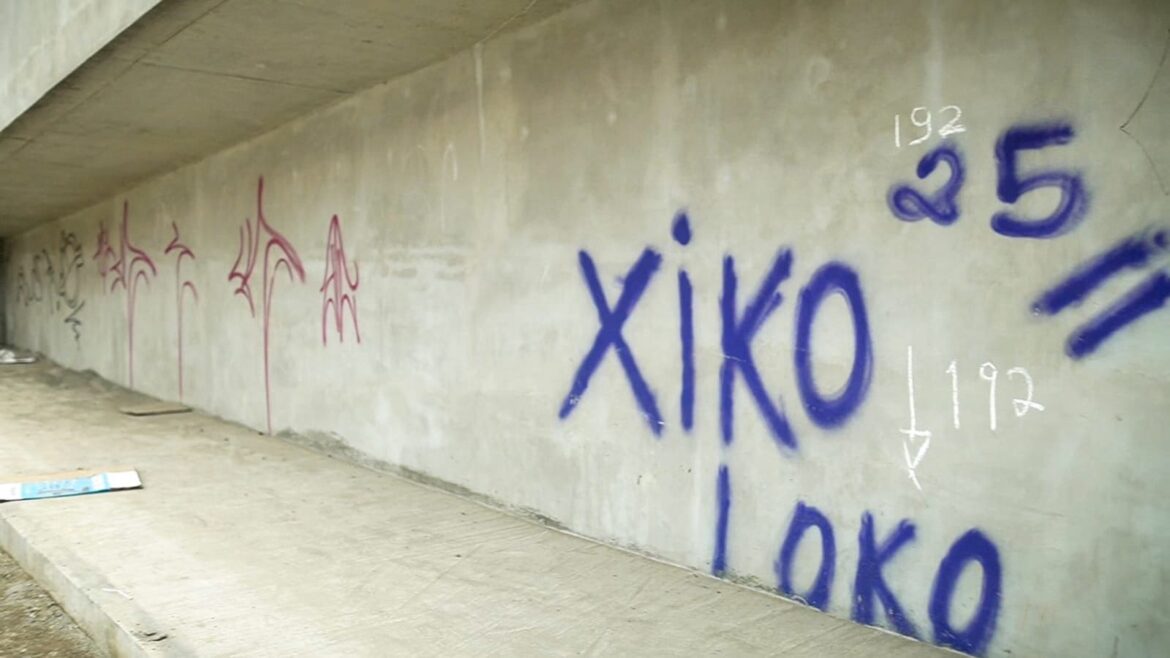 Prefeito David Almeida denuncia vandalismo e reúne grafiteiros para revitalizar complexo Rei Pelé