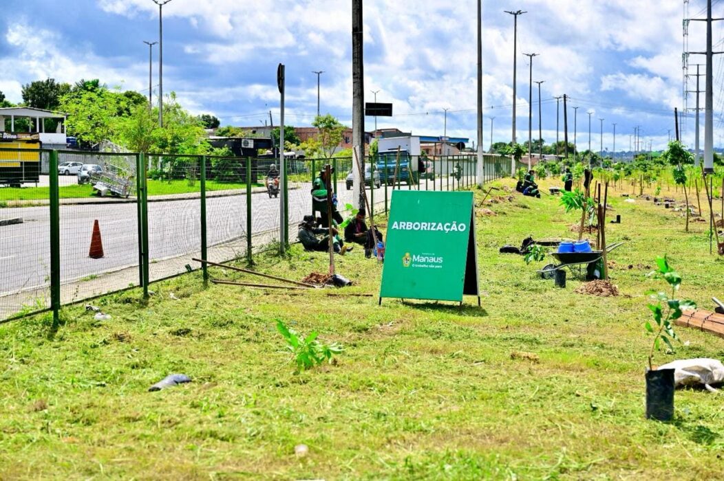 Prefeito David Almeida avança no reflorestamento urbano com mecanização da arborização em Manaus
