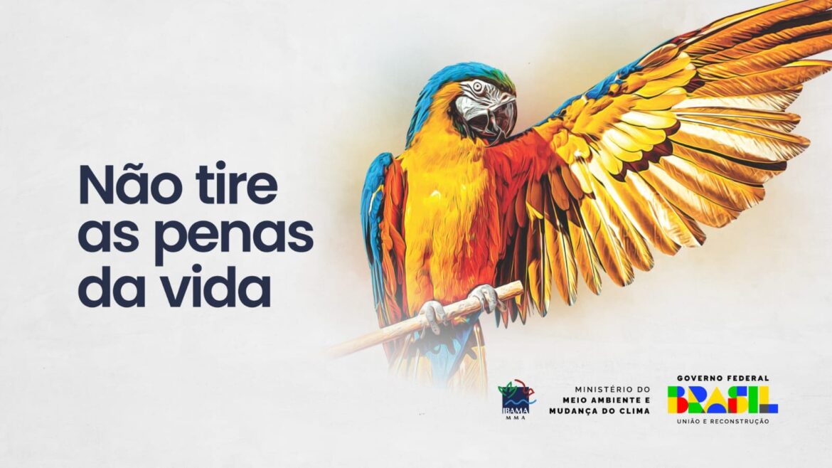 Ibama lança a campanha Não tire as penas da vida, no Amazonas