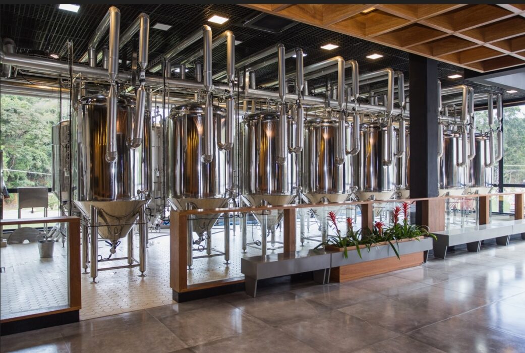 Novo site de empresa de bebidas é criado por jovens talentos