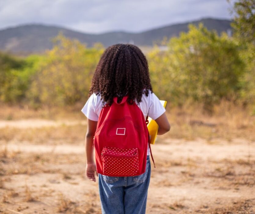 Doações via IRPF chegam a R$ 414 milhões em 2025