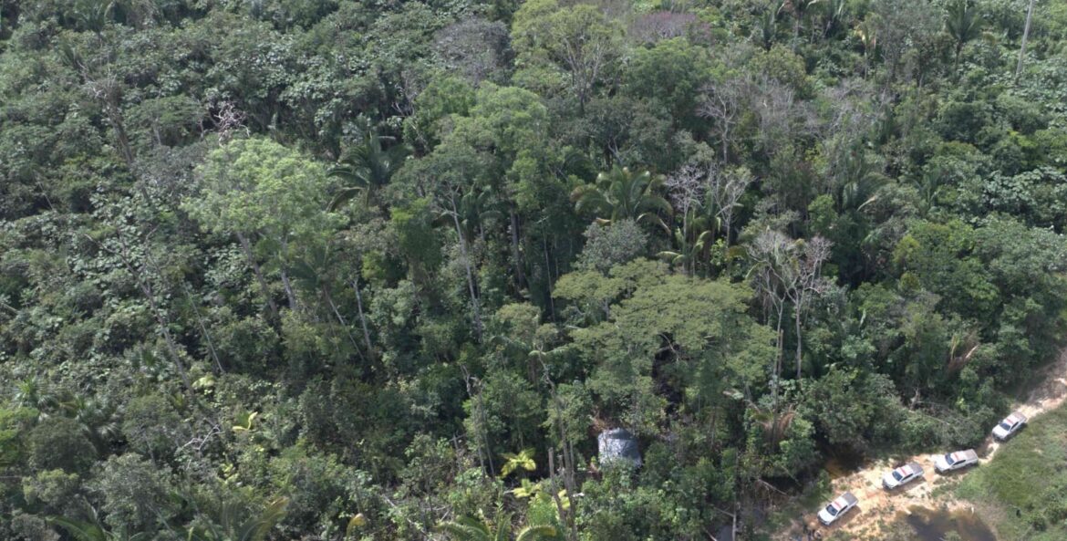Ipaam registra queda de 52,46% no desmatamento e 64,72% nos focos de calor no mês de junho