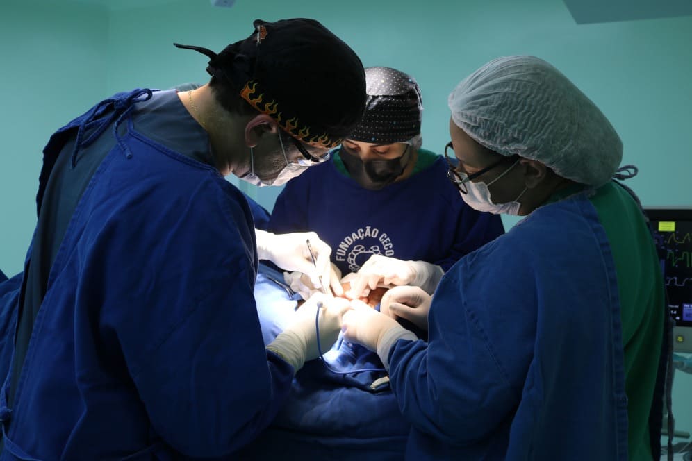 Julho Verde: FCecon alerta para os sinais e sintomas do câncer de cabeça e pescoço