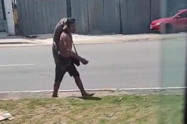 Vídeo: Homem é flagrado carregando um filhote de jacaré no ombro em avenida de Manaus 