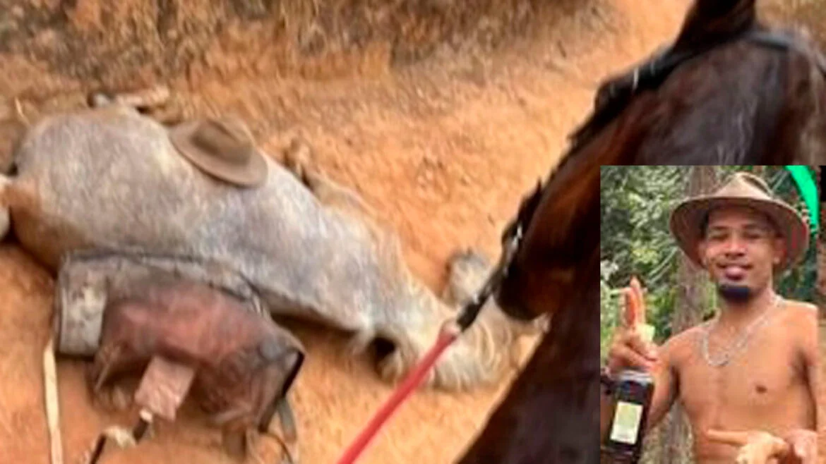 Cavalo tem as patas cort@das pelo dono após cavalgada em SP