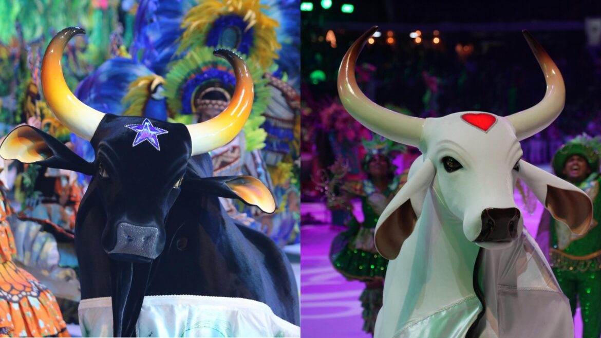 Mostra de Teatro Águas de Manaus: domingo (10) terá show com itens oficiais dos bumbás Caprichoso e Garantido na Ponta Negra