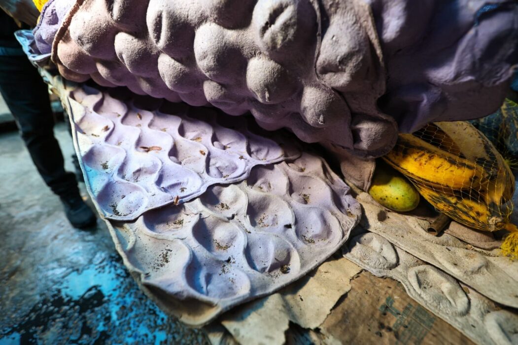 Prefeitura notifica comércio ilegal e apreende produtos irregulares no centro histórico e Manaus