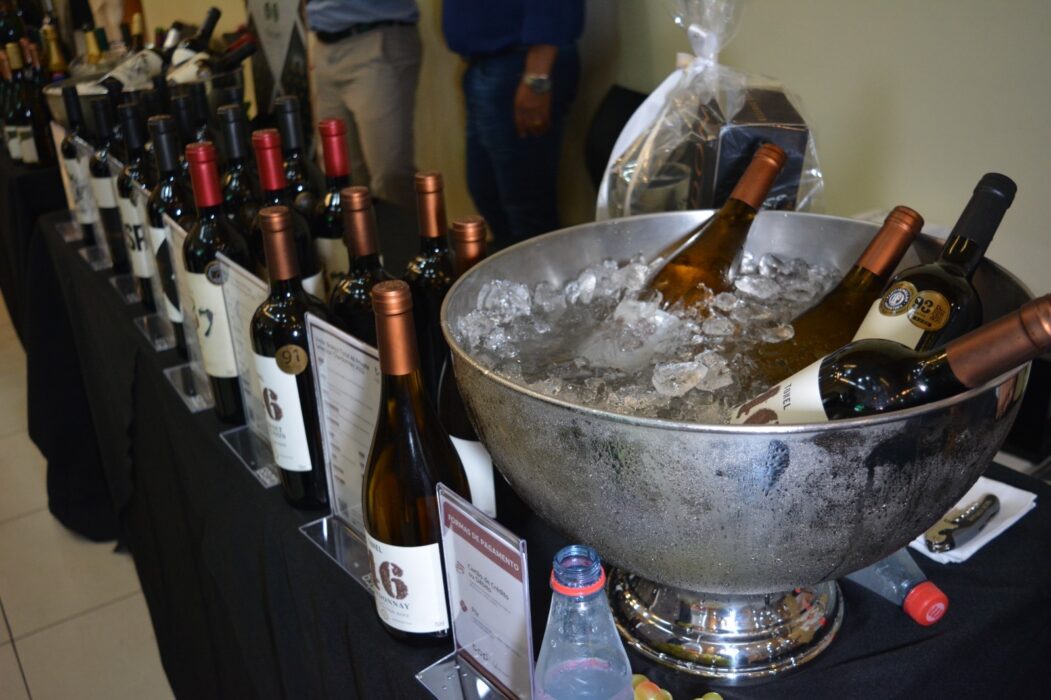 Feira de Vinhos na Amazônia apresentará mais de 300 rótulos para experimentação