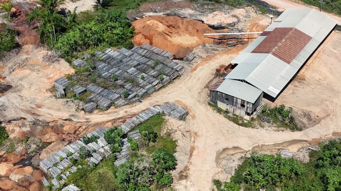 Ipaam aplica R$ 4,4 milhões em multas por extração ilegal de madeira na RDS do Juma, em Novo Aripuanã