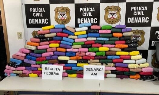 Polícia Civil apreende 171 Kg de skunk na Operação Protetor das Divisas e Fronteiras