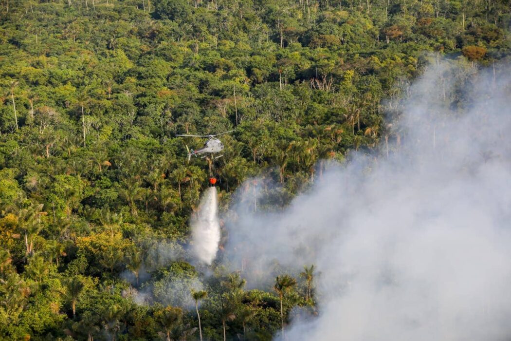 Ministério Público alinha ações de combate a queimadas e desmatamento em Maués