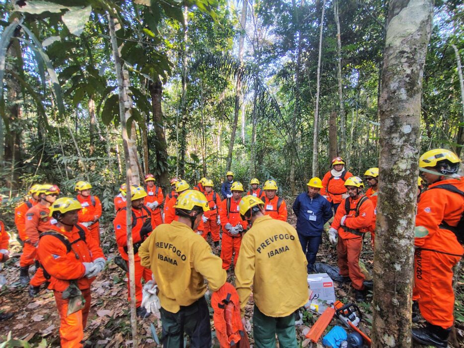 Brigadas do PREVFOGO/IBAMA no Amazonas passam por treinamento no uso seguro de motoserra