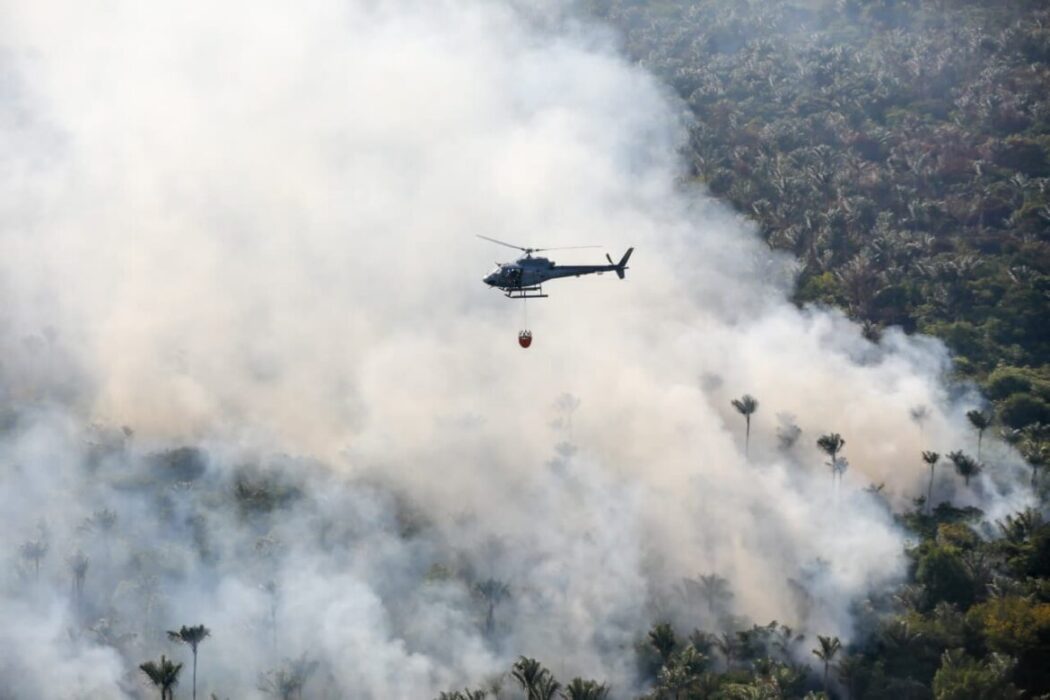 MPAM acompanha medidas de combate a crimes ambientais em Barreirinha