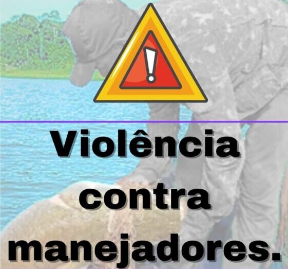Manejador de pescado é baleado em reserva extrativista no Amazonas: violência contra defensores do meio ambiente preocupa.