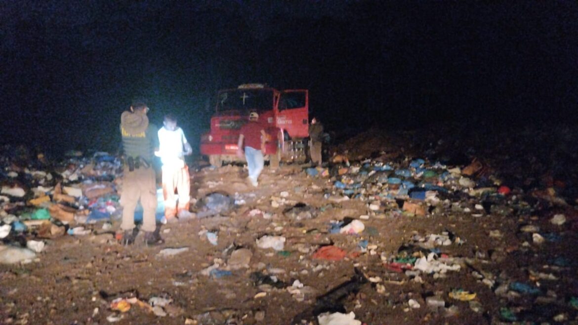 Ibama aplica multa milionária por crime ambiental em Itapiranga