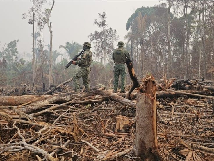 IBAMA vistoria área de proteção ambiental em Manaus