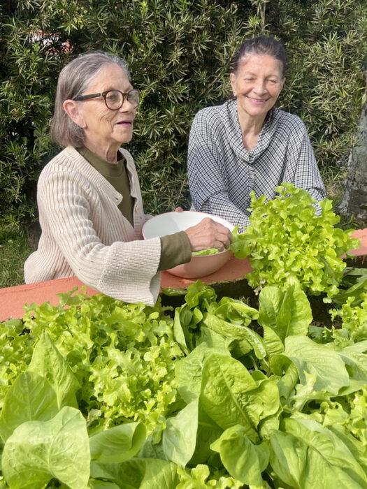 Busca por casas de repouso cresce 100% na internet