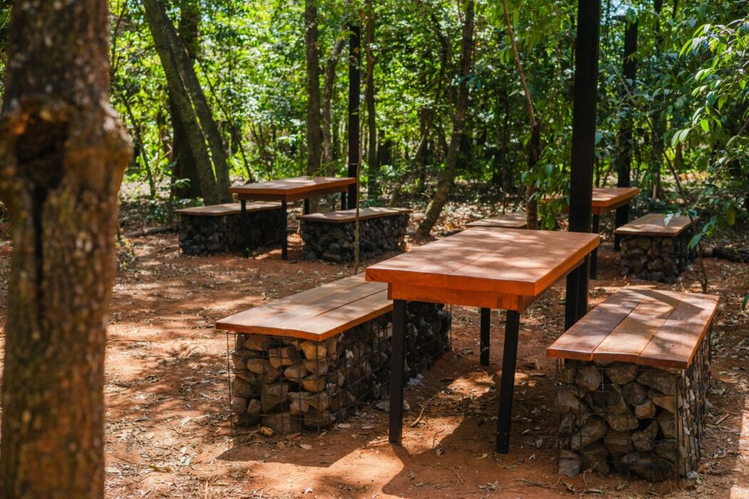 Uberlândia ganha primeiro parque dentro de floresta preservada